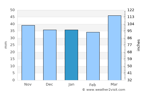 Roy average rain in January