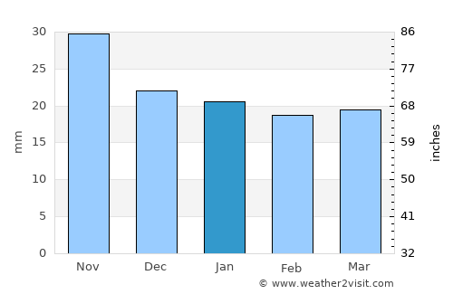 Rubtsovsk average rain in January
