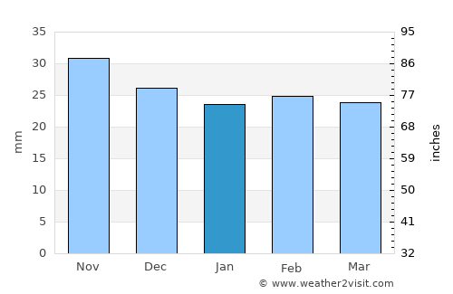 Ruginoasa average rain in January