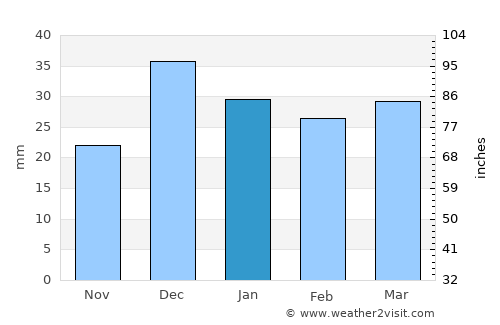 Ruidoso average rain in January