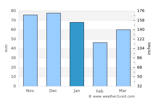 Ruinen average rain in January