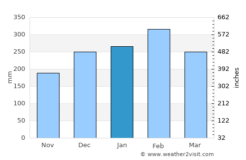 Rurrenabaque average rain in January