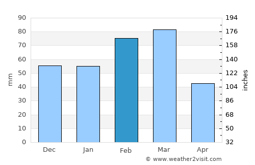 Ruskin average rain in February