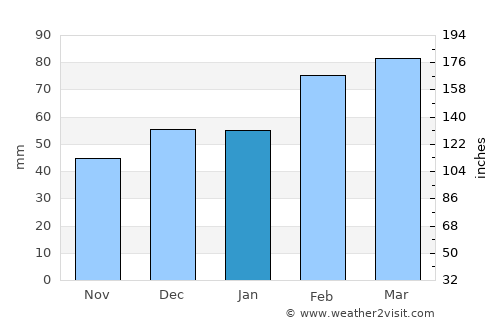 Ruskin average rain in January