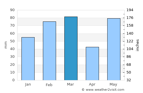 Ruskin average rain in March