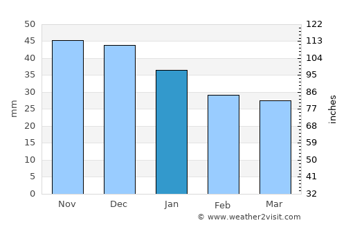 Rybnoye average rain in January