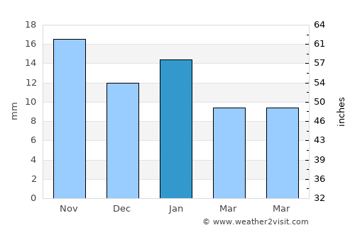Sabinas average rain in January