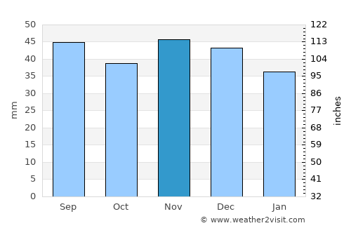 Săcelu average rain in November