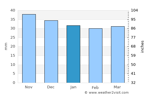 Sadu average rain in January