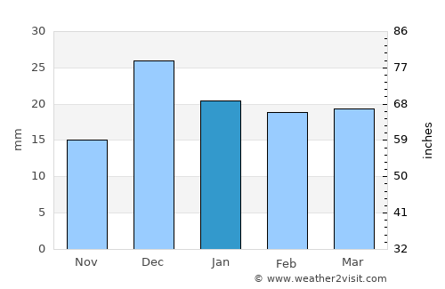 Safford average rain in January