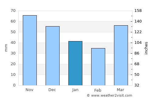 Saginaw average rain in January