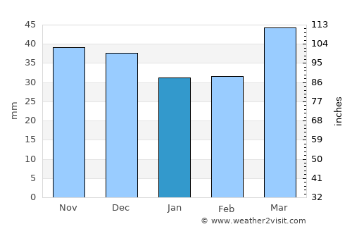 Sagopshi average rain in January
