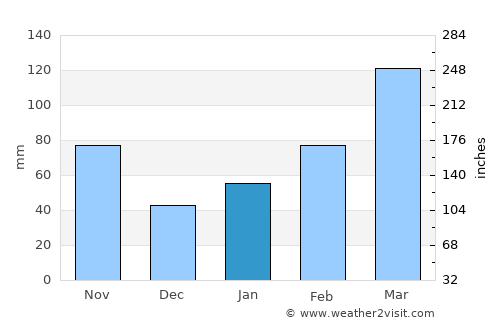 Saiki average rain in January