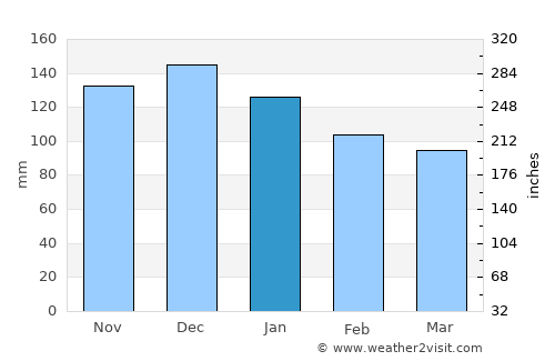 Saint John average rain in January