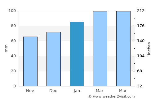 Saint Simons average rain in January