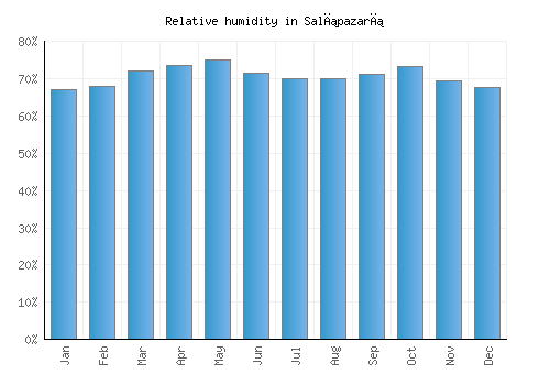 Salıpazarı relative humidity averages