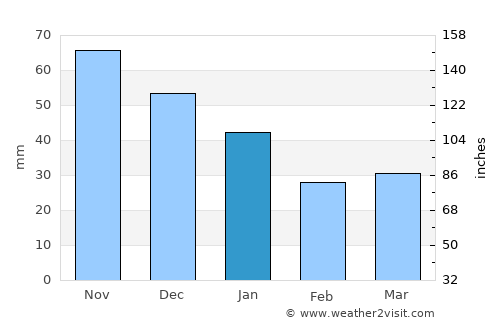 Salo average rain in January