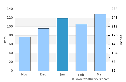 Saluda average rain in January