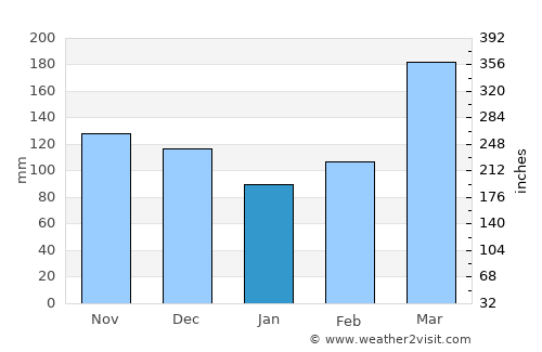 Salvador average rain in January