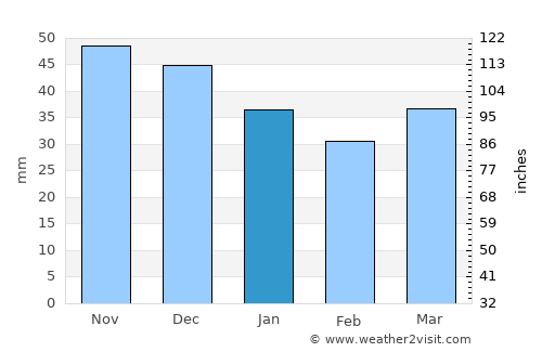 Samakhvalavichy average rain in January