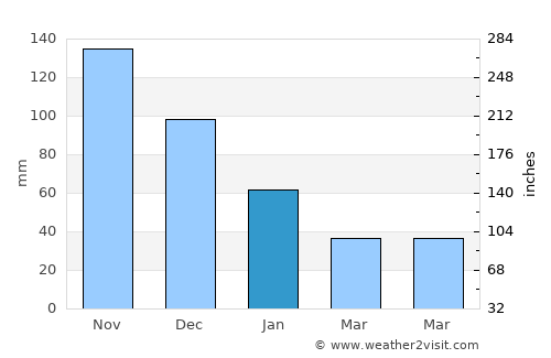 San Antonio del Golfo average rain in January