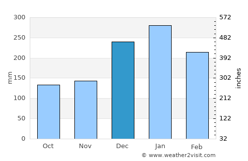 San Carlos average rain in December