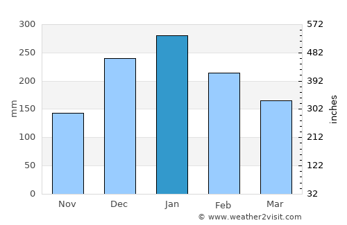 San Carlos average rain in January