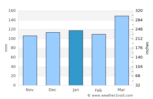San Carlos Centro average rain in January