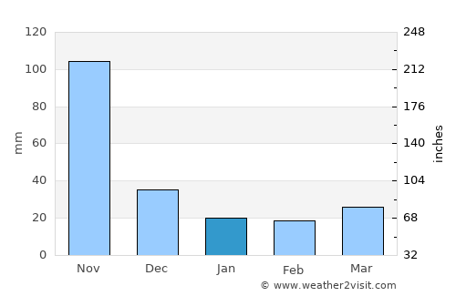 San Carlos average rain in January