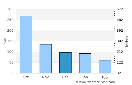 San Carlos average rain in December