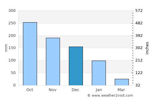 San Carlos average rain in December