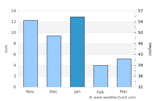 San Diego de Alejandría average rain in January