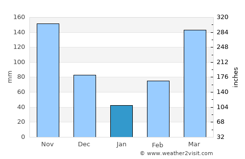 San José del Guaviare average rain in January