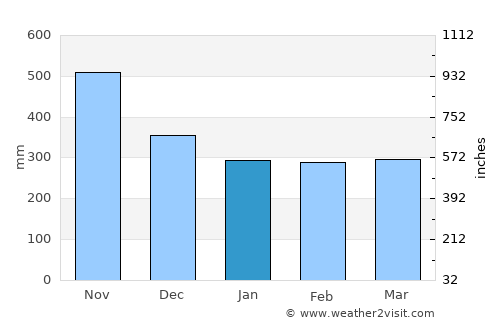 San José del Palmar average rain in January