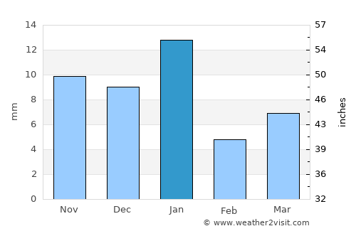 San Miguel de Allende average rain in January