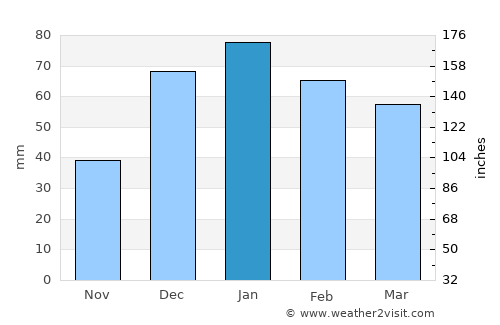 Şanamayn average rain in January