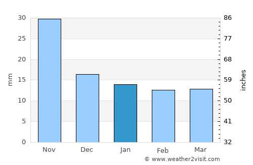 Sanarate average rain in January