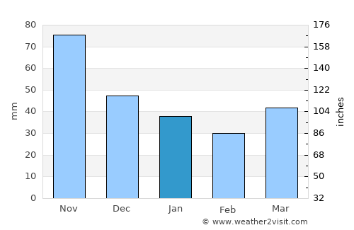 Santa Catarina Pantelhó average rain in January