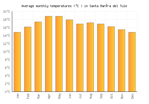 Santa María del Tule average temperature chart (Celsius)