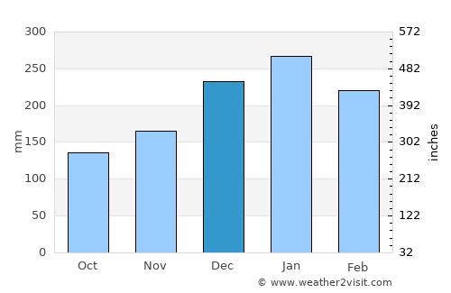 Santa Rita do Passa Quatro average rain in December