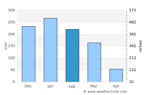 Santa Rita do Passa Quatro average rain in February