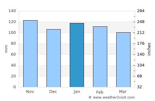 Santo Ângelo average rain in January