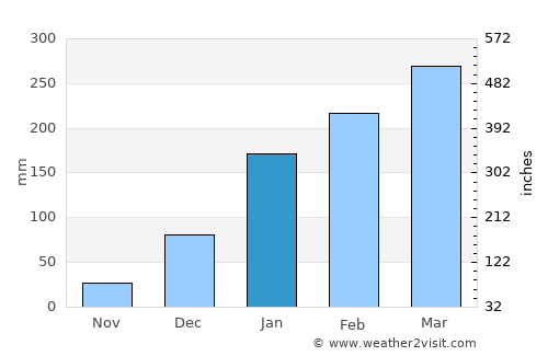 São Bernardo average rain in January