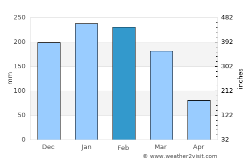 São Caetano do Sul average rain in February