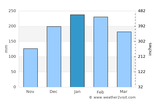 São Caetano do Sul average rain in January