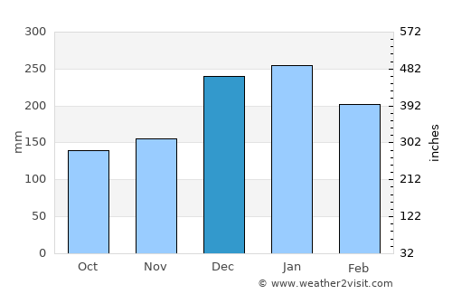 São Carlos average rain in December