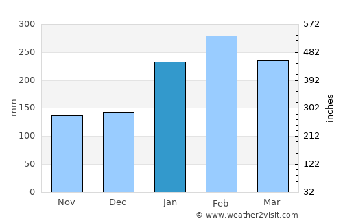 São Francisco do Sul average rain in January