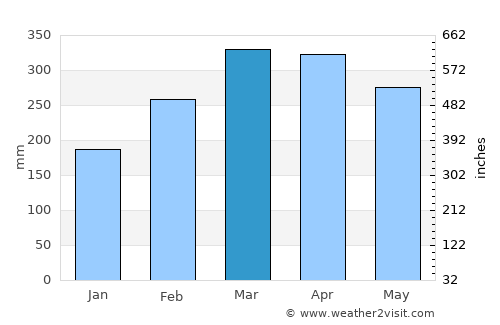 São João Batista average rain in March