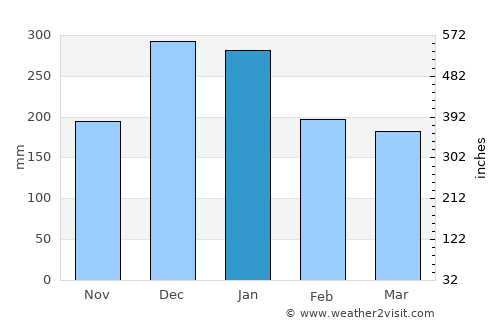 São João Nepomuceno average rain in January