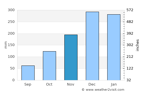 São João Nepomuceno average rain in November